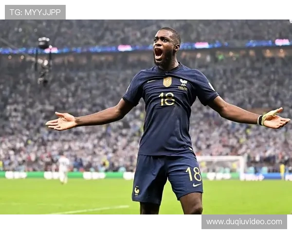 福法纳手球送点 迈尼昂神勇扑救保住胜局 福法纳手球送点 迈尼昂神勇扑救保住胜局